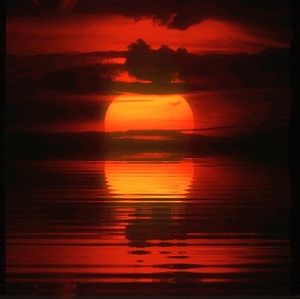 Meet your Posher, 1mm0rt4l